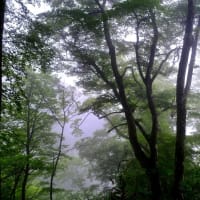 山頂にて-大阪府千早赤阪村：金剛山