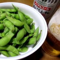 ゴーヤーのお花にマルハナ蜂