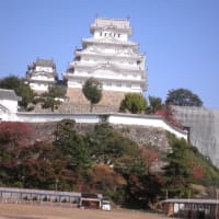 姫路城へ行ってきました。