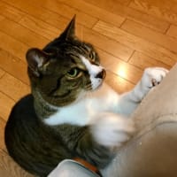 決断の時⭐︎YouTube投稿