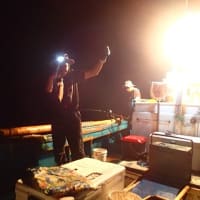 汐巻で、魚～イカのリレー釣り(2025/6/29)