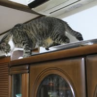 久々に高み