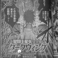 聖闘士星矢 Next Dimension 冥王神話 102 コキュートスの記憶