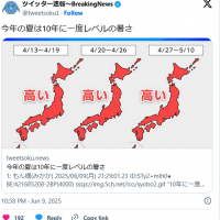 メガネと意匠とワタシ