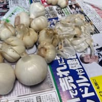 そうだね・・・