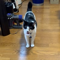 2025/6/18の朝