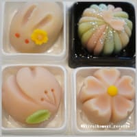 生徒さん募集&体験・特別講習のお知らせ