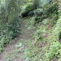 春日山作業