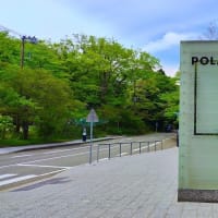 伊豆半島１周　２