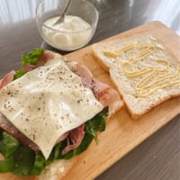 はじめてのスイスチャード