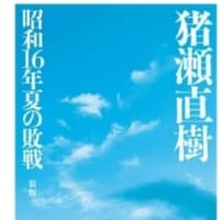 先制奇襲、しかし敗北