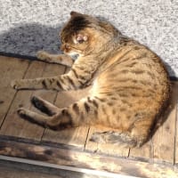 秋の旅行ニセコ☆