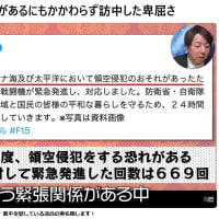 【怒】親中を隠している議員の実名晒します！