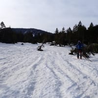 '250503-05雪倉岳