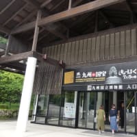250615  太宰府ウオーク、アジサイと菖蒲！K眼科でプリズムレンズ処方！SNSのわずらわしさ！！