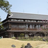さくら