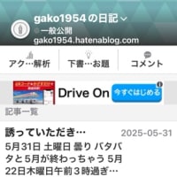 はてなブログにお引越し　やっとギリギリ女が動きましたわ