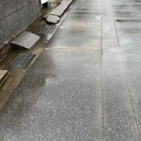 雨の中で舗装切断作業