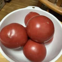 今日いち-2025年6月20日