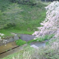 京都の思い出・鍾乳洞