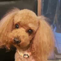 雄だらけ。