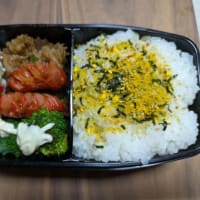 現場はいま…愛媛騒動・６