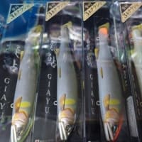 烏川釣果！＆鮎ルアーDUO擬鮎NEWカラー！！