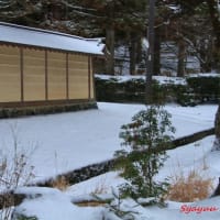 高野町