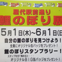 屋代駅前通り 鯉のぼり展 🎏