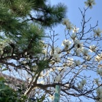 今日いち-2025年3月22日