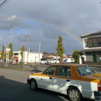 タクシーと虹・・・