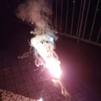 花火と小動物。