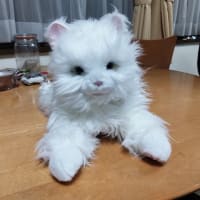 ペットロス対策