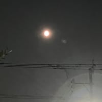 明日は満月、