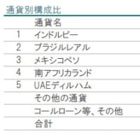 新NISAの成長投資枠でiTrust新興国株式を積立中