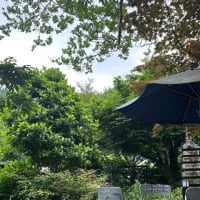 友人と乙津へ