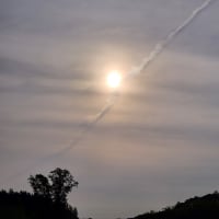 朝空