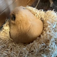 売買事業部　佐藤です～