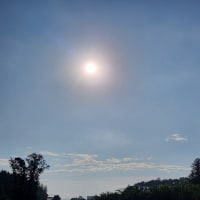朝空