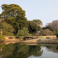 六義園八十八境　霞入江