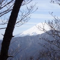 (45)ナットウ箱山～（46）達沢山～（47）大積寺山