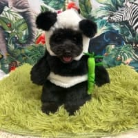 今日こそ！