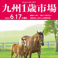【九州1歳市場2025(Kyusyu Sale)】が開催(結果概要、売却総額レコード更新)