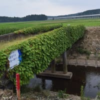 ほんまにやるんでっか？