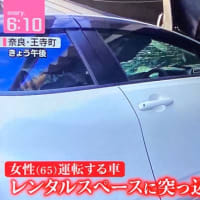奈良で阿呆ババアがレンタルスペースに乗用車で突っ込む