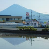 水田に映った富士山