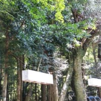 令和6年度「朴野龍王神社」秋の例大祭③