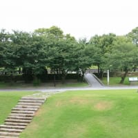05/25お城めぐり-5（鹿児島：鶴丸城址、城山、石橋記念公園、他）