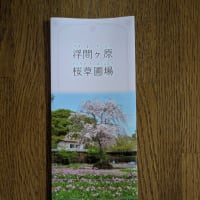 初めてのマンホールカード