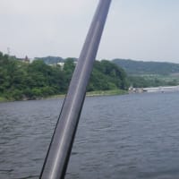 6/9 相模川で2回目だが天候もイマイチで気温も上がらず🐟魚の反応無くてねー❕